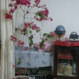8465银老师照片