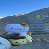 9247邱老师照片